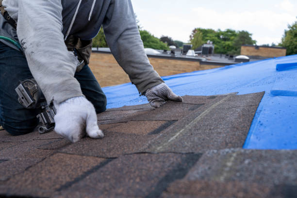 Quick and Trustworthy Emergency Roof Repair Services in Carey, ID
