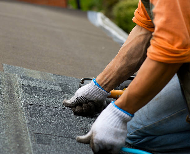 Best Storm Damage Roof Repair  in Carey, ID